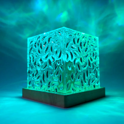 ™ Aurora